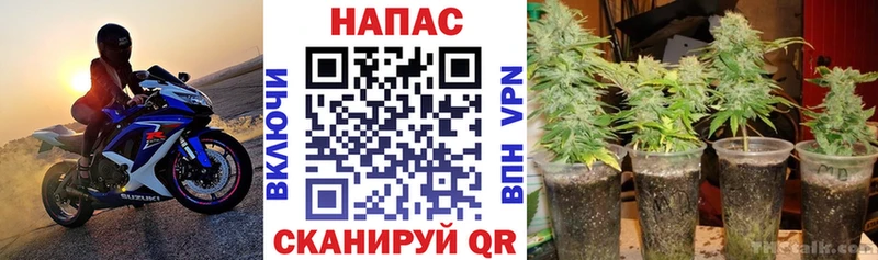 Виды наркоты Правдинск COCAIN АМФ Мефедрон Alpha PVP