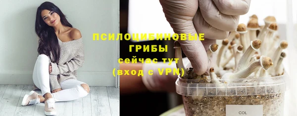 ешки Алексеевка