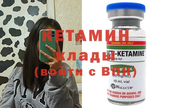 стаф Алексин