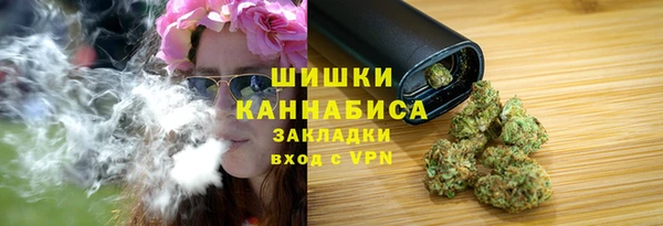 прущие грибы Абдулино